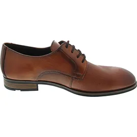 LLOYD 15-221-05 (11.5/castagno) | Braun