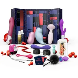 Satisfyer Advent Calendar Premium 2024 1 St