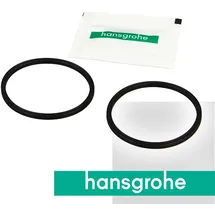 Hansgrohe Dichtungs-Set mit Schwenkauslauf