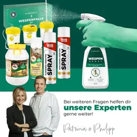 Silberkraft Wespenspray 500 ml 12 St.