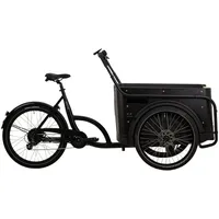 BBF BIke eCargorider 3.1 Royal 26/24 Zoll RH 0 cm schwarz