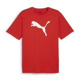 Puma teamRISE Logo Jersey Cotton, T-Shirts, 658705