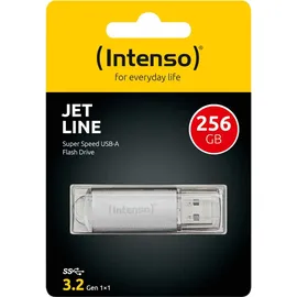 Intenso Jet Line 256GB