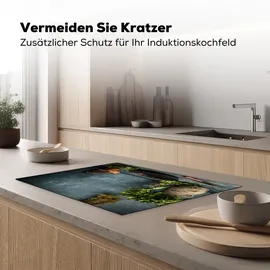 onlywow Herdabdeckplatte, Rustikale Küche | Gr.: 75 x 52 cm,