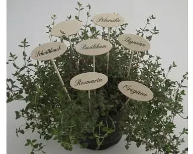 Kräuterschilder für innen mit 20 cm Spieß (Text: Oregano)