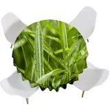 Highdi Runde Tischdecke Abwaschbar Tisch Decke, Rund Tischwäsche Geeignet für Küche, Esszimmer, Esstisch, Couchtisch, Gartentisch (Bambus 2,Durchmesser 140cm)