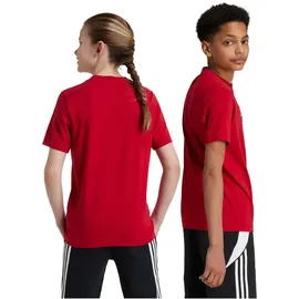 adidas FC Bayern München T-Shirt 2024/25 rot Kinder Gr. 152