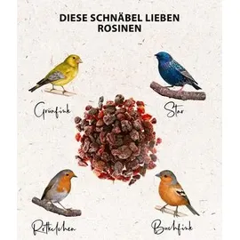 dehner natura premium Wildvogelfutter, Rosinen