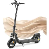 JOYOR C10E E-Scooter mit Straßenzulassung wechselbarer Akku Rahmen aus Magnesiumlegierung 120kg 10 Zoll 500W Federung Faltbar