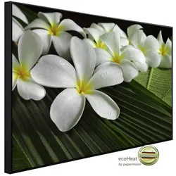papermoon Infrarotheizung »EcoHeat - Blumen«, Matt-Effekt - bunt
