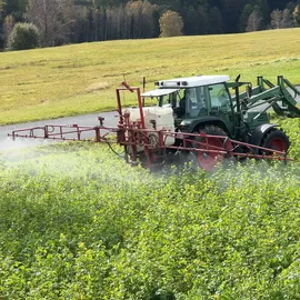 Schicker Mineral Diabas Urgesteinsmehl mikrofein 15 kg