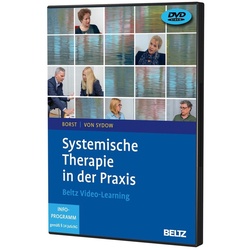 Systemische Therapie in der Praxis, 2 DVD-Video (DVD)