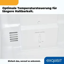 Exquisit KGC265-70-NF-040C Kühl-Gefrierkombination (253 l, 1810 mm hoch, Weiß)