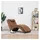 vidaXL Massage Chaiselongue mit Kissen Polyester 54 x 72 x 145 cm Braun