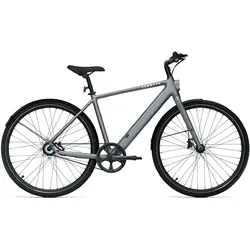 TENWAYS Elektro-Citybike E-Urban CGO600PRO l, silber S