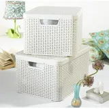 Curver Aufbewahrungsbox 44,5 x 33 cm 1-tlg. beige