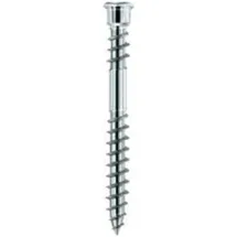 Fortis Schraube Terrassotec geh. DIN10088 5,5x 60mm T25