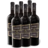 6 x 0,75-l-Flasche Weinpaket Peuceta Primitivo Puglia IGP trocken, Rotwein