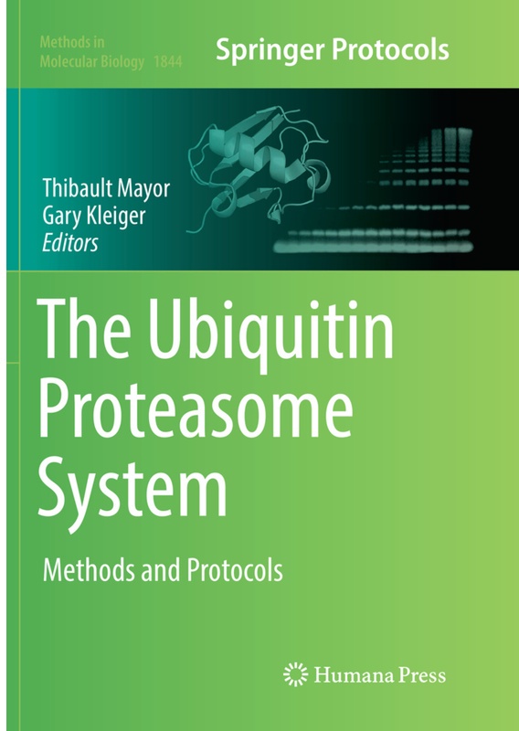 The Ubiquitin Proteasome System, Kartoniert (TB)