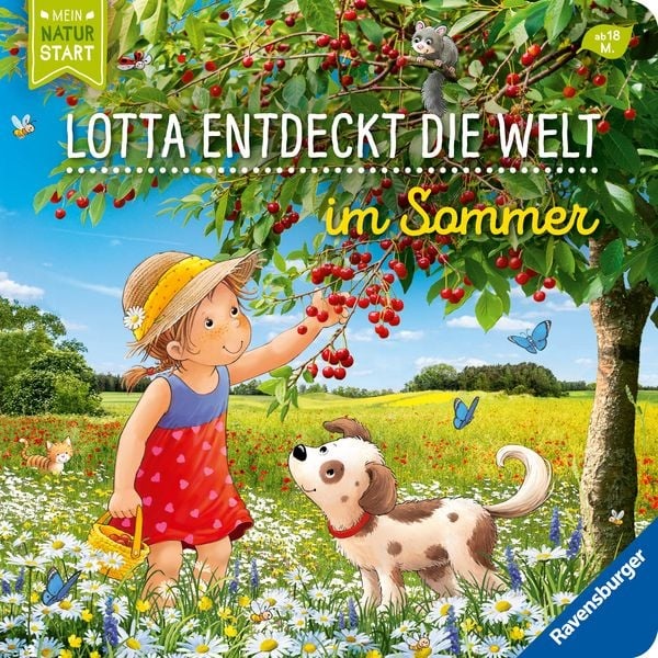 Preisvergleich Produktbild Entdecke den Sommer mit Lotta