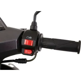 Alpha Motors Powermax 50 ccm 3,0 PS 45 km/h Grau