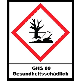 Steinbach Group Algezid Pool flüssig, 1l, Algenvernichter, Wasserpflege