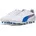 Puma Herren Puma White-Bluemazing-Flat Light Gray 45