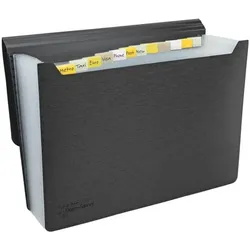 RAPESCO Germ-Savvy Fächermappe »Germ-Savvy™ Antibakteriell« A4, 33x24x24 cm