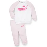 Puma Minicats ESS Raglan Baby-Jogginganzug 62 - pearl pink 68