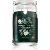 Yankee Candle Silver Sage & Pine 567 g