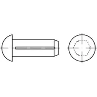 Industrial Quality Supplies DIN 1476 Halbrundkerbnagel, Edelstahl A2 1,6x3