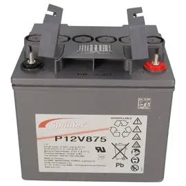 Sonnenschein / Exide Sprinter P12V875 41Ah 12V