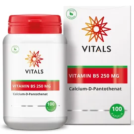 Vitals Vitamin B5 Kapseln 100 St.