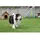Kerbl Trainingsdummy 50 cm