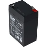 Fiam 6 Volt Akku 6 V 4500 mAh 1 St.
