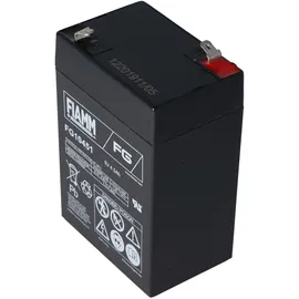 Fiam 6 Volt Akku 6 V 4500 mAh 1 St.