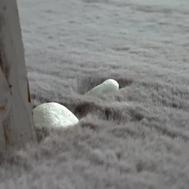 Paco Home Rabbit 780 Fellteppich 160 cm anthrazit