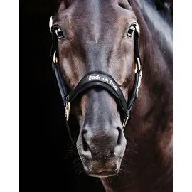 Back on Track Halfter Werano grün - Warmblut