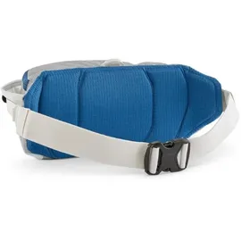 Patagonia Black Hole Waist Pack 5L Uni Birch White
