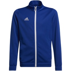 adidas Entrada 22 Trainingsjacke Kinder royblu 140