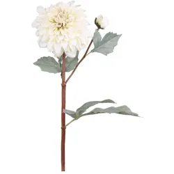 Chic Antique Fleur Dahlien, L48 cm, creme