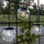 Star Trading Solar-Hängeleuchte Globe 3er-Set