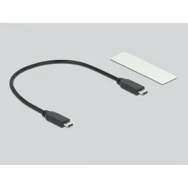 DeLock M.2 NVMe SSD-Gehäuse 1 x M.2 USB 3,1 (42001)