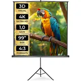 Tectake tectake® Beamer-Leinwand, ausziehbar, verschiedene Formate, Doppelschicht-Gewebetuch, faltenfrei