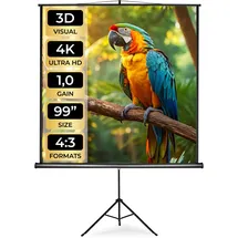 Tectake tectake® Beamer-Leinwand, ausziehbar, verschiedene Formate, Doppelschicht-Gewebetuch, faltenfrei