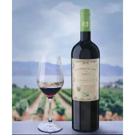 Botter Casa Vinicola S.P.A. Primitivo Puglia IGT Bio 2020 0,75 l