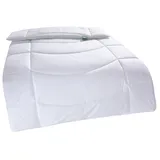 fan »f.a.n. Made in Green "Tegernsee"« weiß