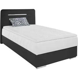 Cotta Boxbett COTTA "Lighstar", schwarz, B:126cm L:207cm, Komplettbetten, Boxspringbett, inklusive LED-Beleuchtung, Topper, Bettkasten und Zierkissen
