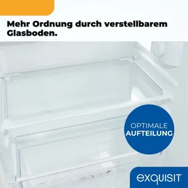 Exquisit EKS5131-4-E-040D Einbaukühlschrank (118 l, 880 mm hoch)