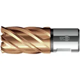 BDS Kernbohrer VARIOPlus kurz KBK HSS Schaft Weldon 13/30mm